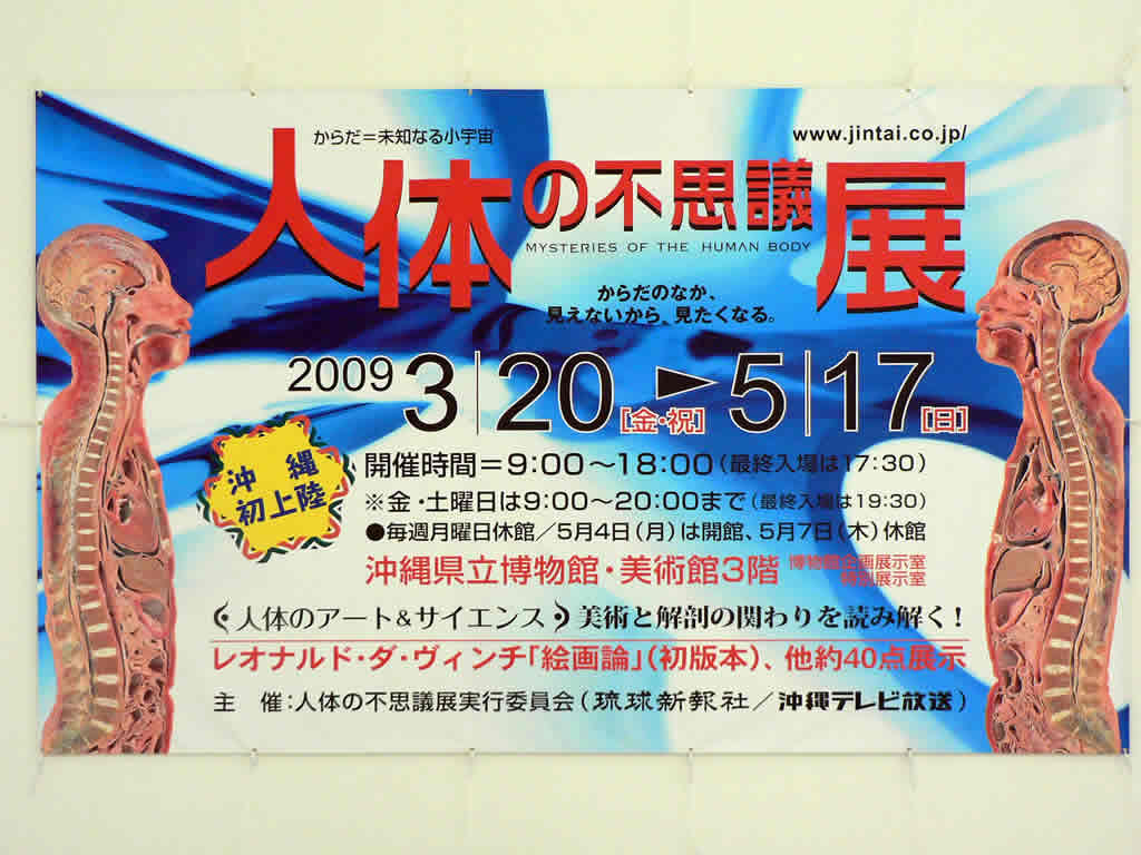 人体の不思議展は沖縄県立博物館 美術館3階 沖縄okinawaお気に入り情報 ホテル 移住 海 ビーチ